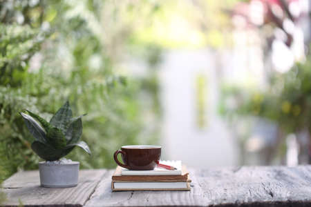 Brown coffee cup and notebooks with pencil and snake plant on wooden desk outdoorの写真素材