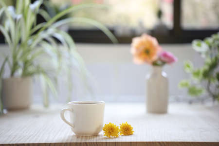 white cup with yellow chrysanthemum flowersの写真素材