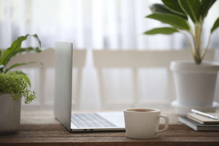 White coffee cup and laptop and plant pots on brown wooden tableの写真素材