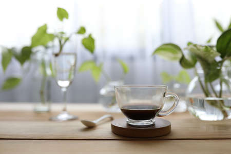 Coffee in glass and plants in glass vase and cupの写真素材