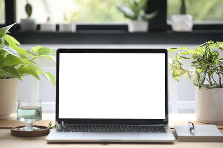 Laptop with glass of butterfly pea flowery tea and plant pot on wooden tableの写真素材
