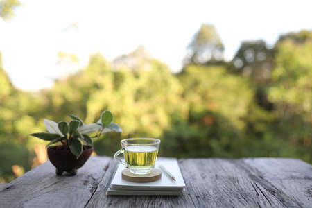 lemon grass and Hoya Carnosa with notebook and pencil on wooden tableの写真素材