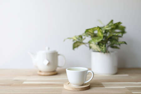 White tea cup and teapot with Dracaena surculosa plant on wooden tableの写真素材