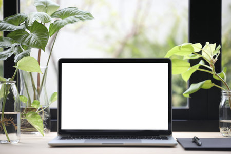 Laptop with a glass of coffee and water plants in clear glass vase and cupの写真素材