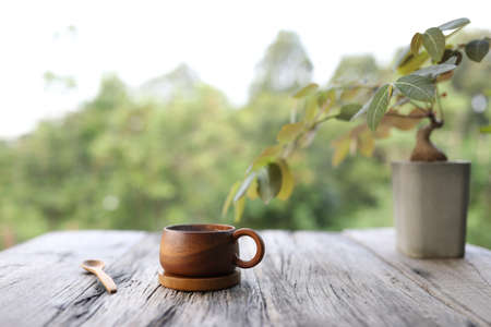 wooden coffee cup with spoon and Caudiciform Plants on wooden tableの写真素材