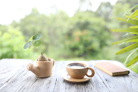 Coffee in wooden cup and Stephania erecta on wooden tableの写真素材
