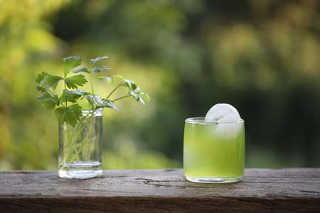 Fresh coriander juice glass cupの写真素材