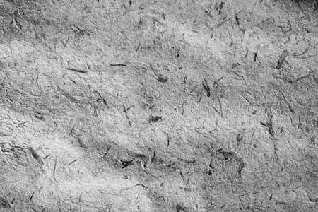 Grey banana paper kraft with details background textureの写真素材