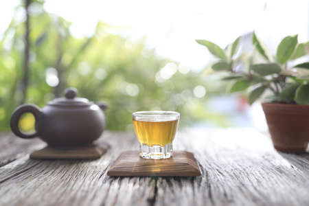 Tea glass cup and clay pot with hoya plantの写真素材