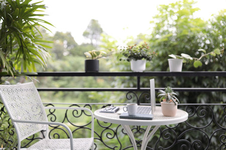 Coffee cup and laptop and Dorstenia plant pot on white metal table
