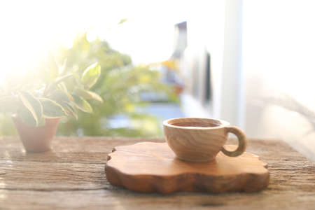 Wooden cup and Dracaena surculosa plantの写真素材