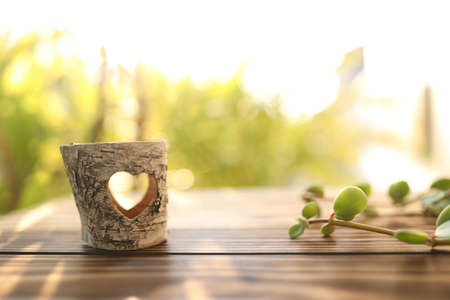 tree bark with heart shape hole and plantの写真素材