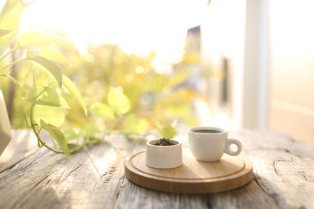Tea cup and tea pot and green leaves on wooden tableの写真素材