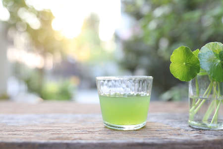 pennywort juice on wooden tableの写真素材