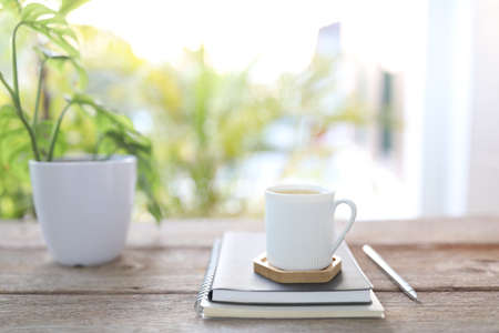 Tea cup and brown kraft notebooks and Window Monstera obliqua leaf plantの写真素材