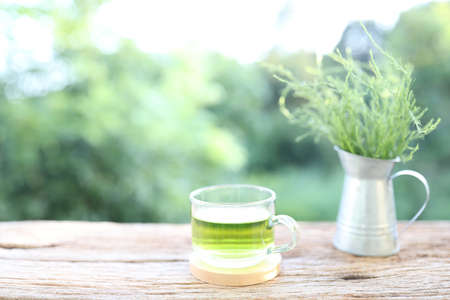 Green tea glass cup and Eupatorium capillifolium vegetableの写真素材