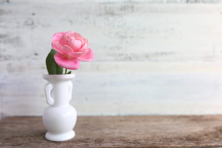 Pink rose in white jar on wooden tableの写真素材