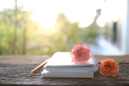 notebook and old rose and pencil on brown tableの写真素材