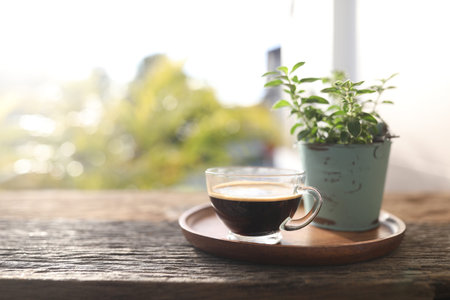 coffee in a glass cup and plant pot on wooden trayの写真素材