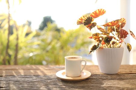 White coffee mug and Begonia plant on brown wooden table outdoorの写真素材