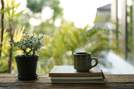 Earthenware tea pot and plant on wooden table outdoor drinking