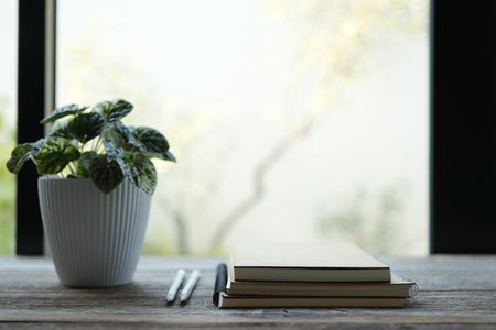 plant pot and notebooks in front of clear windowsの写真素材