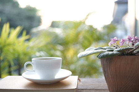 Coffee cup and African Violet flower on a brown potの写真素材