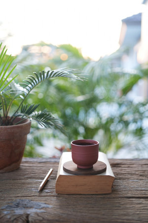 clay earthenware tea cup and Cycad plant pot on brown grunge wooden tableの写真素材