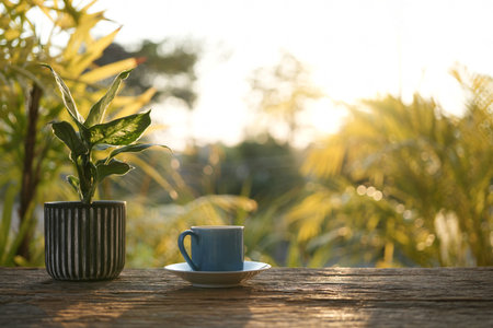 Blue cup and plant pot cozy rustic balcony outdoorの写真素材