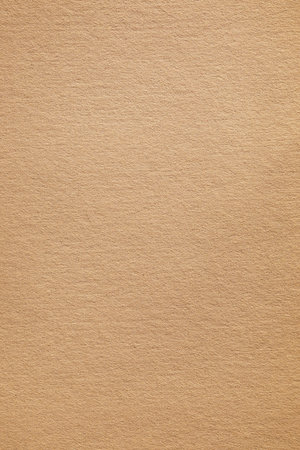Macro texture of vertical paper fibrous textureの写真素材