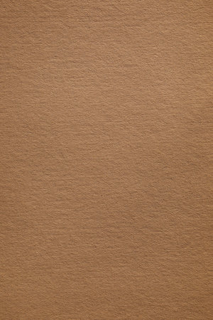 Macro shot of fibrous old brown paper textureの写真素材