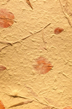 Vintage brown natural mulberry paper with visible grass and leavesの写真素材