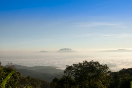 the sea of mist at Huaynamdang thailandの写真素材