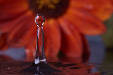 falling dropの写真素材