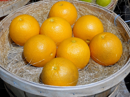 A Basket of Fresh Orangesの写真素材