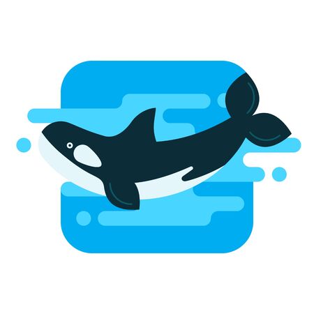 Illustration of an orca in the water in modern styleのイラスト素材