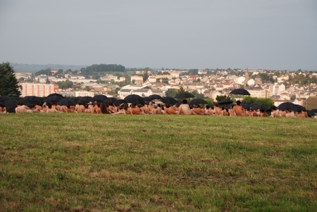 Spencer Tunick Installation Aurillac, August 20 2010 のeditorial素材
