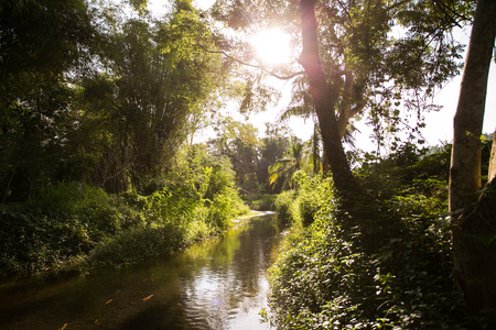 Nature in center of Thailand. at Nakorn Nayok Province. In the morning with forest and clear water from waterfall.の写真素材