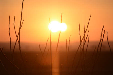 Sun shines through the trees in the forest - beautiful woodland landscape. Photo for your business....