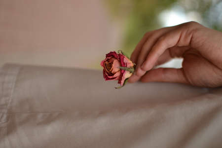 Young girl holds a rose near her lips, wedding concept