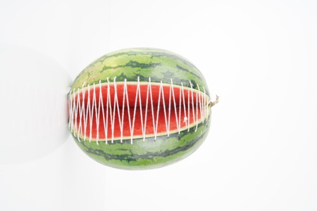 fresh green watermelonの写真素材