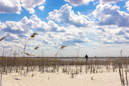 Remote silhouette of a man on a cane sandy beach by the lake under a beautiful cloudy sky.