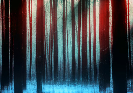 Trunks of trees in a fantasy winter snowy forest. Filter motion blur, toned.の写真素材