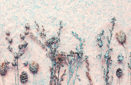 Dried flowers on mottled light pink stone background. Selective focus.の写真素材