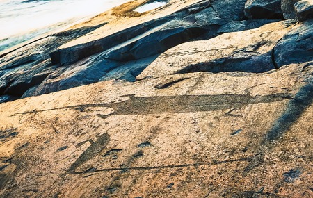 Attraction of Karelia is Onega petroglyphs - prehistoric rock engravings (4th-2nd millennia BC) carved on the granite shore of the lake on the cape Besov Nos. Ones of the famous symbols - Otter and Swan.の写真素材