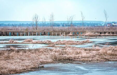Landscape - seagulls gathered at the frozen water and wooden poles in a field of dry grass during a...