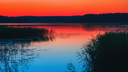 Beautiful night view of a lake with a reed under the red sky after a summer sunset. Long exposure, selective focus, space for copy. Russia, Tudozero.の写真素材
