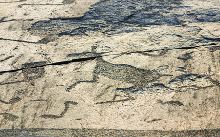 Fragment of Onega petroglyphs on the granite shore of the lake. Age of prehistoric rock engravings - 5000-6000 years. Cape Besov Nos, Republic of Karelia, Russia.の写真素材