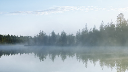Rays of morning light fall on the mirror surface of a forest northern lake through the trees and white dense fog - atmospheric natural landscape. Selective focus, blurred filter.の写真素材