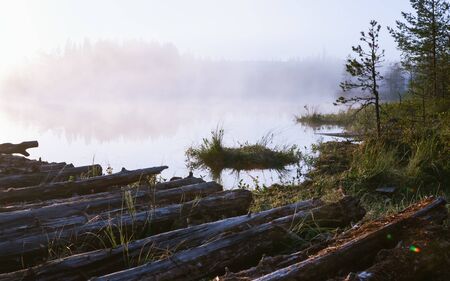 View of an abandoned jetty near a swampy forest lake covered with white morning fog. Northern wild natural landscape. Soft selective focus, space for copy.の写真素材